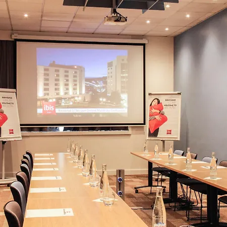 Hotel Ibis Gerland Musee Des Confluences
