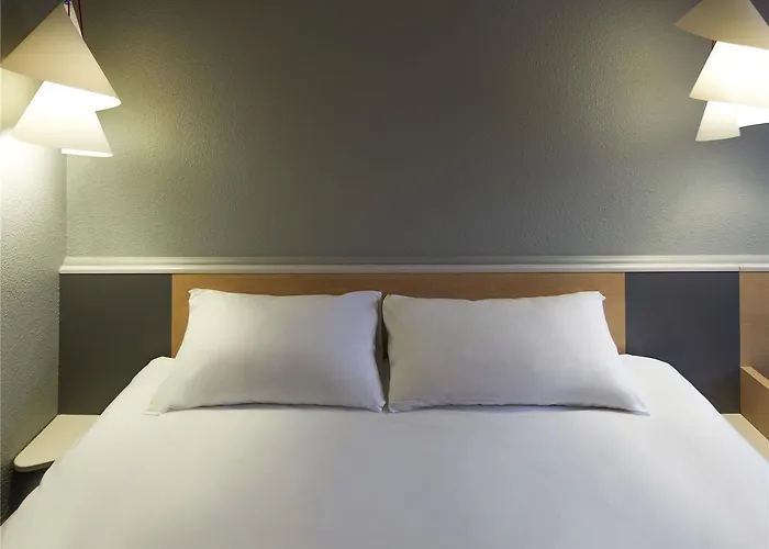 Hotel Ibis Gerland Musee Des Confluences 3*